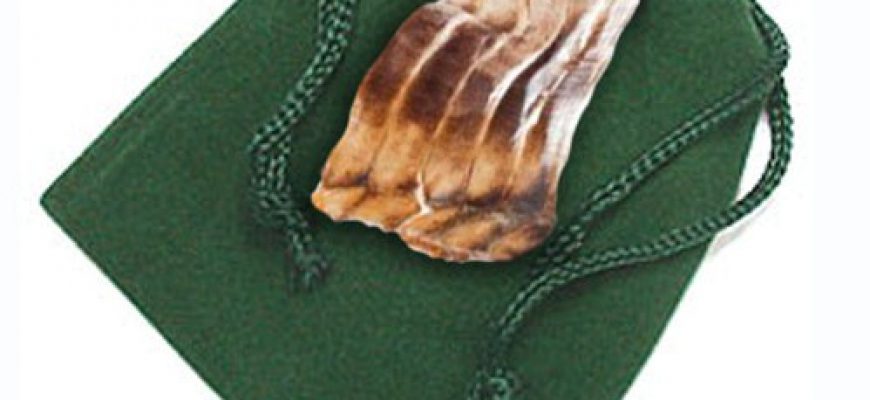 עור נחש סגולה לפרנסה ונגד עין הרע